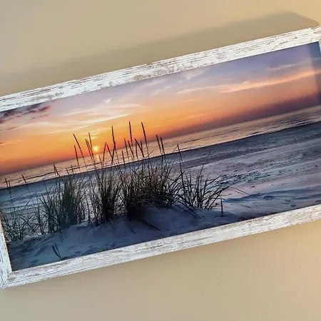 Strandfuchs-2